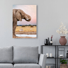 Obraz na płótnie Głowa afrykańskiego słonia na tle horyzontu