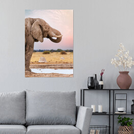 Plakat Głowa afrykańskiego słonia na tle horyzontu