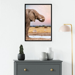 Plakat w ramie Głowa afrykańskiego słonia na tle horyzontu
