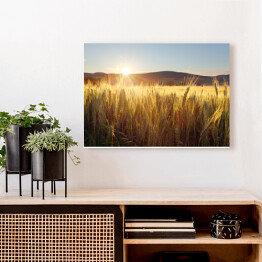Obraz na płótnie Zachód słońca nad polem pszenicy