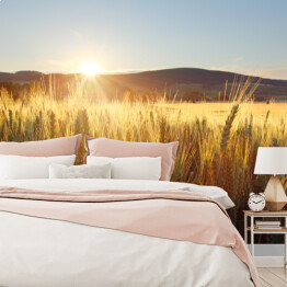 Fototapeta samoprzylepna Zachód słońca nad polem pszenicy