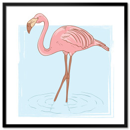 Plakat w ramie Różowy flaming stojący w wodzie - rysunek