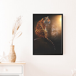 Obraz w ramie Tygrys