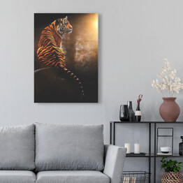 Obraz klasyczny Tygrys