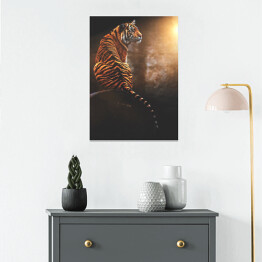 Plakat Tygrys
