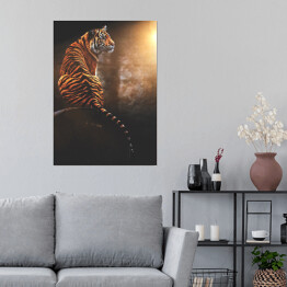 Plakat samoprzylepny Sumatran tiger
