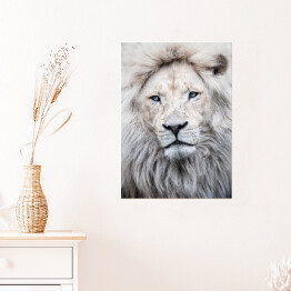 Plakat samoprzylepny portret lwa