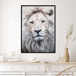 Plakat w ramie portret lwa