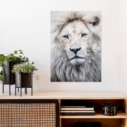 Plakat samoprzylepny portret lwa