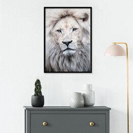 Plakat w ramie portret lwa
