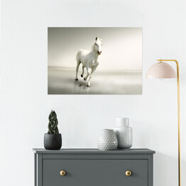 Plakat samoprzylepny Piękny biały koń w ruchu na tle mgły