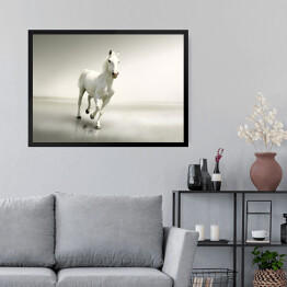 Obraz w ramie Piękny biały koń w ruchu na tle mgły