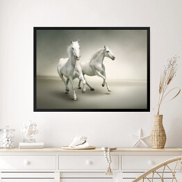 Obraz w ramie Białe konie