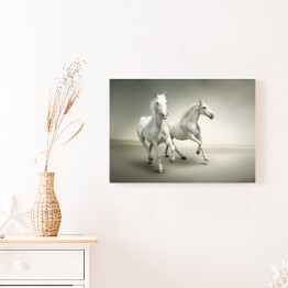 Obraz na płótnie Białe konie