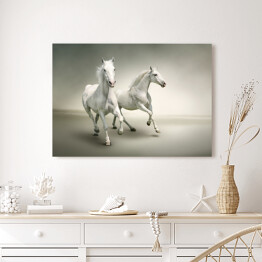 Obraz na płótnie Białe konie