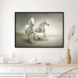 Plakat w ramie Białe konie
