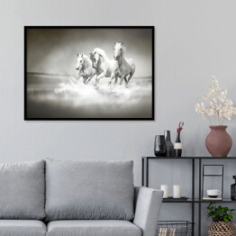 Plakat w ramie Białe konie galopujące po wodzie