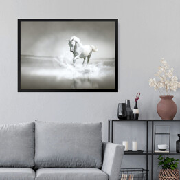 Obraz w ramie Biały koń galopujący przez wodę