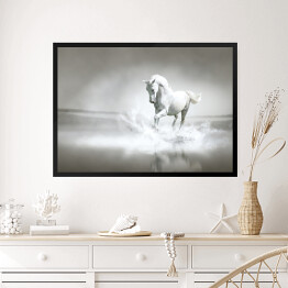 Obraz w ramie Biały koń galopujący przez wodę