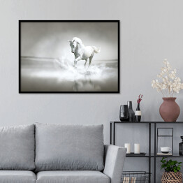 Plakat w ramie Biały koń galopujący przez wodę