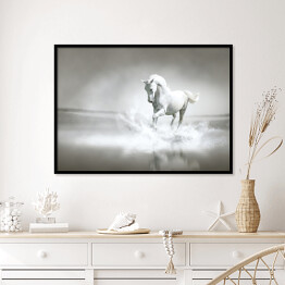 Plakat w ramie Biały koń galopujący przez wodę