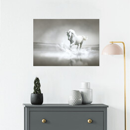Plakat samoprzylepny Biały koń galopujący przez wodę