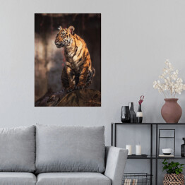 Plakat samoprzylepny Sumatran tygrys w lesie