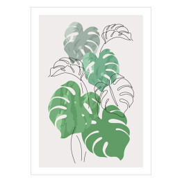Plakat samoprzylepny Roślina monstera. Zarys liści oraz akwarelowe szare i zielone liście na jasnym tle. 