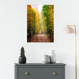 Plakat Droga prowadząca przez jesienny las