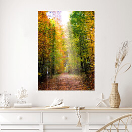Plakat samoprzylepny Droga prowadząca przez jesienny las