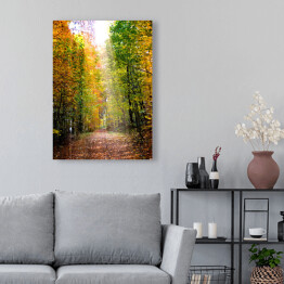 Obraz na płótnie Droga prowadząca przez jesienny las