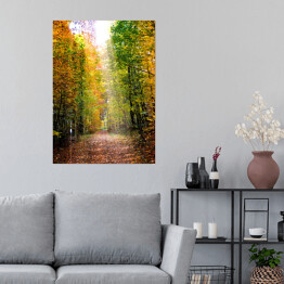 Plakat samoprzylepny Droga prowadząca przez jesienny las