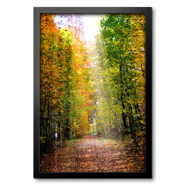 Obraz w ramie Droga prowadząca przez jesienny las