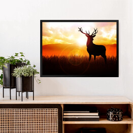 Obraz w ramie Postać jelenia na tle zachodzącego słońca