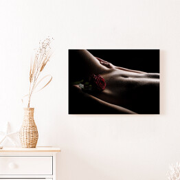 Obraz na płótnie Nagi brzuch z różą