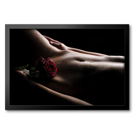 Obraz w ramie Nagi brzuch z różą