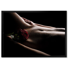 Plakat w ramie Nagi brzuch z różą