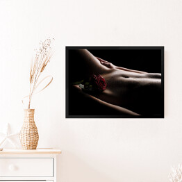 Obraz w ramie Nagi brzuch z różą