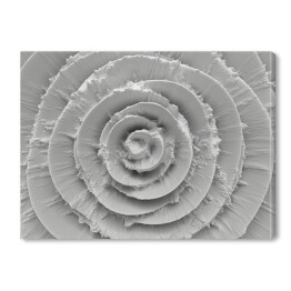 Obraz na płótnie Białe spirale 3D