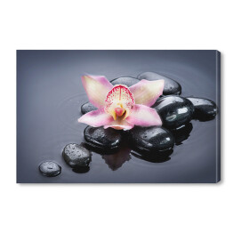 Obraz na płótnie Ciemne kamienie oraz jasny kwiat na szarym tle