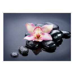 Plakat samoprzylepny Ciemne kamienie oraz jasny kwiat na szarym tle