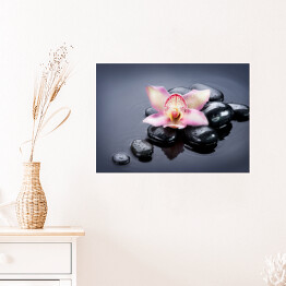 Plakat samoprzylepny Ciemne kamienie oraz jasny kwiat na szarym tle