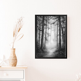 Obraz w ramie Czarno biały las we mgle