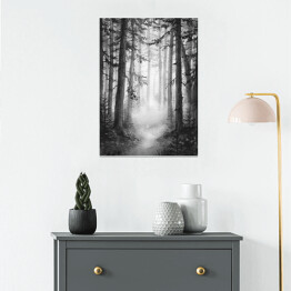 Plakat Czarno biały las we mgle
