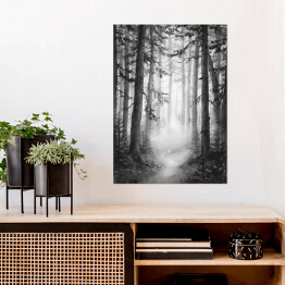 Plakat samoprzylepny Czarno biały las we mgle