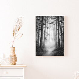 Obraz na płótnie Czarno biały las we mgle