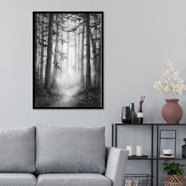 Plakat w ramie Czarno biały las we mgle