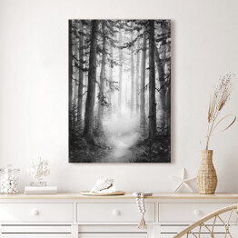 Obraz klasyczny Czarno biały las we mgle