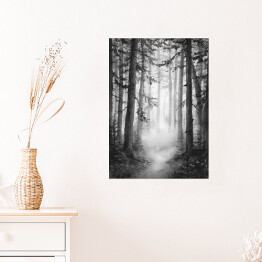 Plakat Czarno biały las we mgle