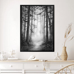 Obraz w ramie Czarno biały las we mgle